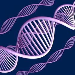 Central Coast Mobile DNA Services - Central Coast Mobile DNA Services (805)270-5821