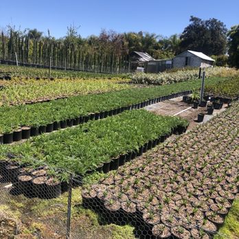 DICE Growers - Nurseries & Gardening Near Me - Temecula, California