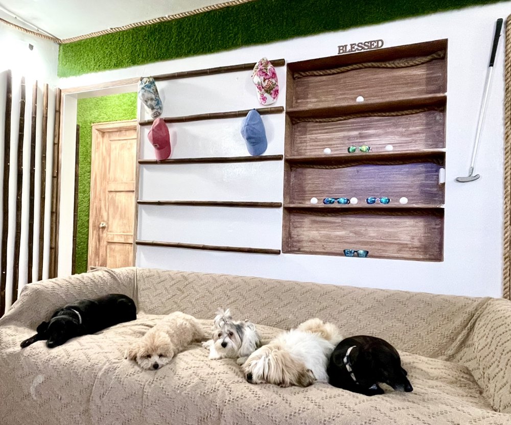 Puppy Play Time - pet boarding facility in Santa Monica, CA