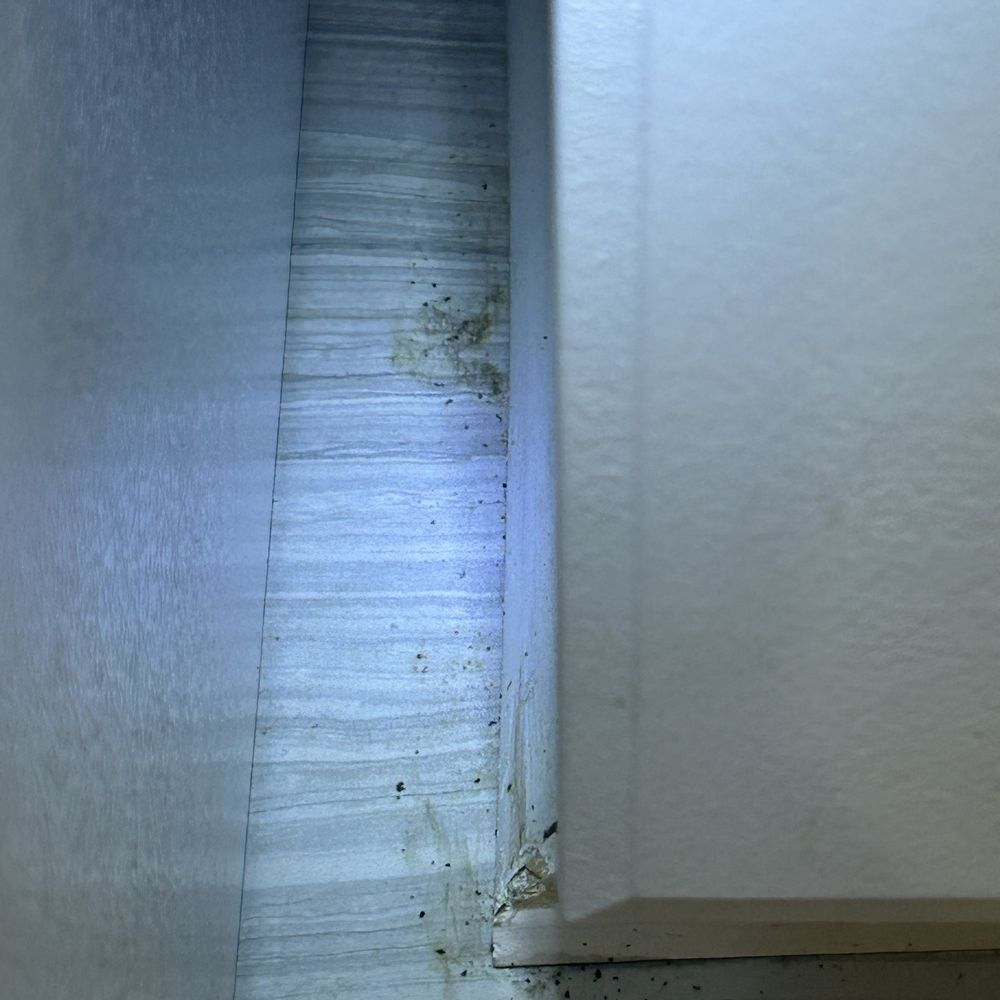 Crescent Shores - This picture shows the roach poop between the refrigerator and the cabinet - Hotels Near Me - North Myrtle Beach, South Carolina
