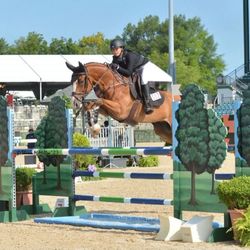 AURUM Performance Stables - Determination and resilience are key to success
