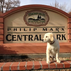 Philip Marx Central Park
