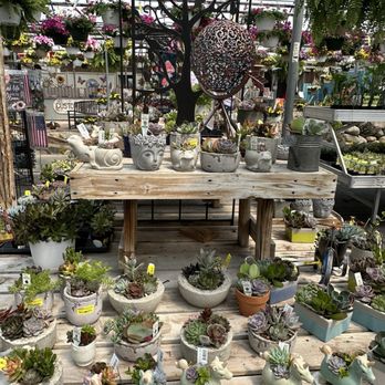 Deneweth's Garden Center - Nurseries & Gardening Near Me - Macomb, Michigan