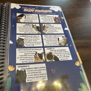 affoGATO Cat Café - Themed Cafes Near Me - Cleveland, Ohio