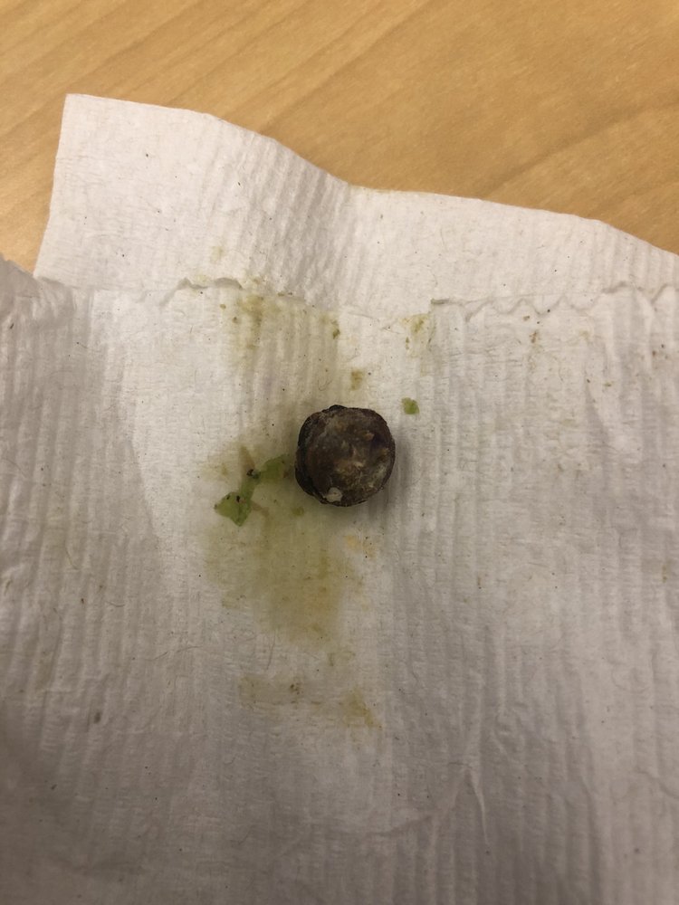 QUESADA BURRITOS & TACOS Updated August 2024 10153 King