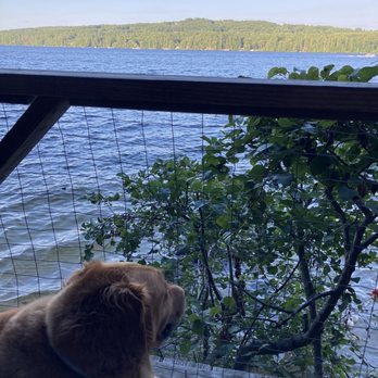 Lakeside Pines Campground - Well behaved Pups are welcome - Campgrounds Near Me - Bridgton, Maine Lakeside Pines Campground - Well behaved Pups are welcome - Campgrounds Near Me - Bridgton, Maine