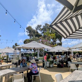 Superbloom - Coffee & Tea Near Me - San Diego, California Superbloom - Coffee & Tea Near Me - San Diego, California