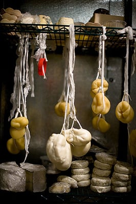 Andrew's Cheese Shop by null