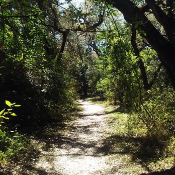 Tree Tops Park - Walking the trails - Parks Near Me - Davie, Florida