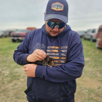 Brant’s Termite & Pest Control - Pest Control Near Me Brant’s Termite & Pest Control - Pest Control Near Me