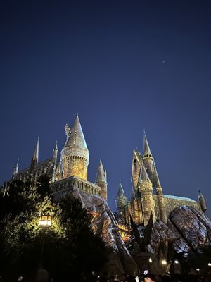 The Wizarding World of Harry Potter by null