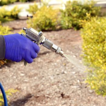 ClearDefense Pest Control - Pest Control Near Me - Cincinnati, Ohio ClearDefense Pest Control - Pest Control Near Me - Cincinnati, Ohio