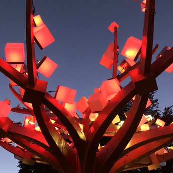 Entwined Lighted Forest - 2/21/21 - Public Art Near Me - San Francisco, California Entwined Lighted Forest - 2/21/21 - Public Art Near Me - San Francisco, California