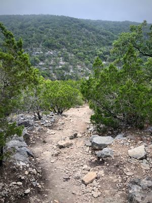 Lost Maples State Natural Area by null