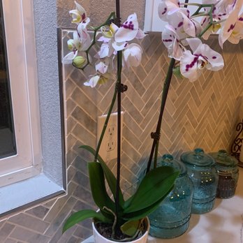 America's Advantage Remodeling - Thanks to Carmen who helped me pick my backsplash!! - General Contractors Near Me - Roseville, California America's Advantage Remodeling - Thanks to Carmen who helped me pick my backsplash!! - General Contractors Near Me - Roseville, California