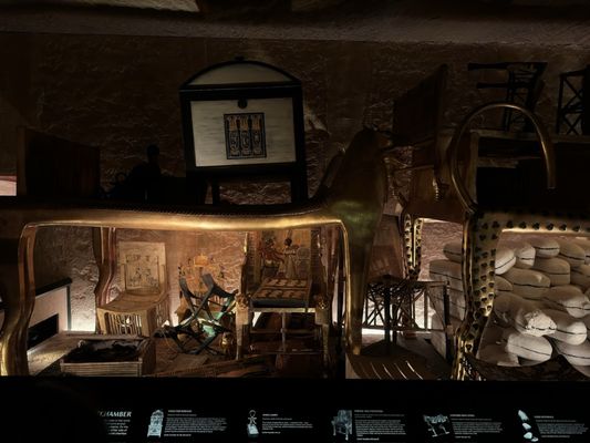 Houston Museum of Natural Science by null