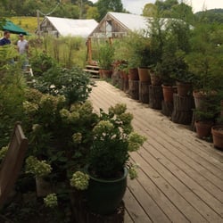 Blooming Hill Farm