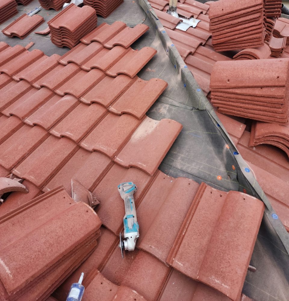 Slide of Mario Bees Gutter Cleaning and Roof Repair