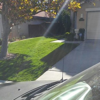 Tender Lawn Care - A month after seeding - Landscaping Near Me - Temecula, California