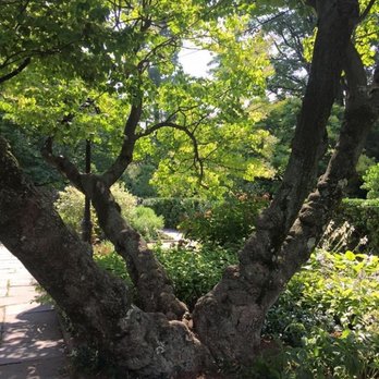 Central Park Conservancy - Parks Near Me - New York, New York