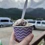Photo of Denali Glacier Scoops & Gifts