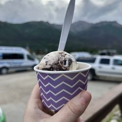 Denali Glacier Scoops & Gifts - Single scoop of moose tracks