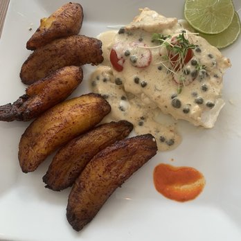 Cayo Blanco - Halibut with Plantains - Seafood Near Me - San Juan, Puerto Rico