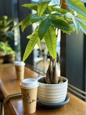 All Good New Orleans by null