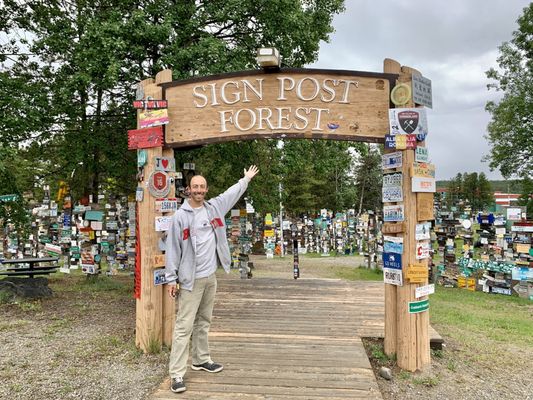 Sign Post Forest by null