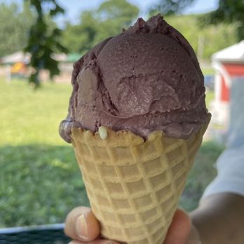 Rock Hill Orchard - Black raspberry - Farmers Market Near Me - Mount Airy, Maryland Rock Hill Orchard - Black raspberry - Farmers Market Near Me - Mount Airy, Maryland
