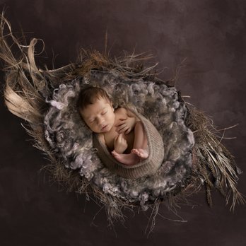 Dani Adams-Barry Photography - Newborn Photography Woodland Themes - Session Photography Near Me Dani Adams-Barry Photography - Newborn Photography Woodland Themes - Session Photography Near Me