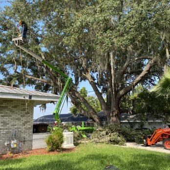 Breidenbach Tree Service of Central Florida - Tree removal - Tree Services Near Me - Polk City, Florida Breidenbach Tree Service of Central Florida - Tree removal - Tree Services Near Me - Polk City, Florida