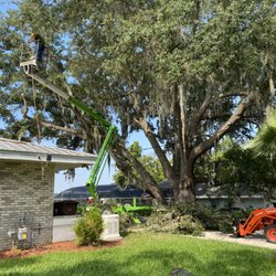 Breidenbach Tree Service of Central Florida