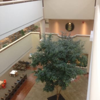 Highland Clinic - I love atriums, they are so cool! - Medical Centers Near Me - Shreveport, Louisiana Highland Clinic - I love atriums, they are so cool! - Medical Centers Near Me - Shreveport, Louisiana