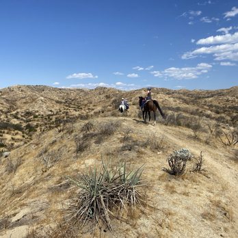Saddle Up Wine Tours - Horseback Riding Near Me - Aguanga, California Saddle Up Wine Tours - Horseback Riding Near Me - Aguanga, California