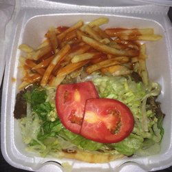 Gyro with fries