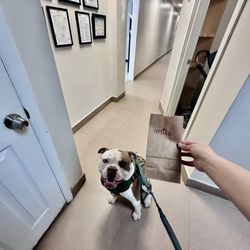 Gomara Animal Clinic