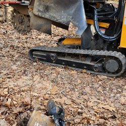 T & N Tree Service