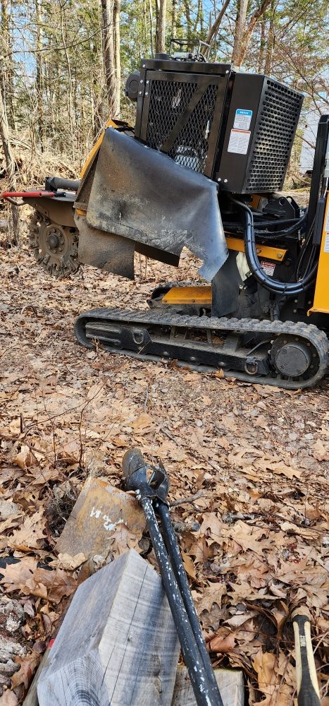 T & N Tree Service - tree service in Montgomery, MA