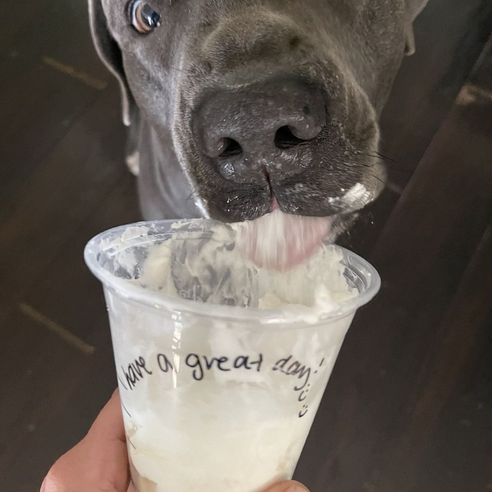 Starbucks - Pup cup from an amazing team. Love this location! - Coffee & Tea Near Me - Corona, California Starbucks - Pup cup from an amazing team. Love this location! - Coffee & Tea Near Me - Corona, California