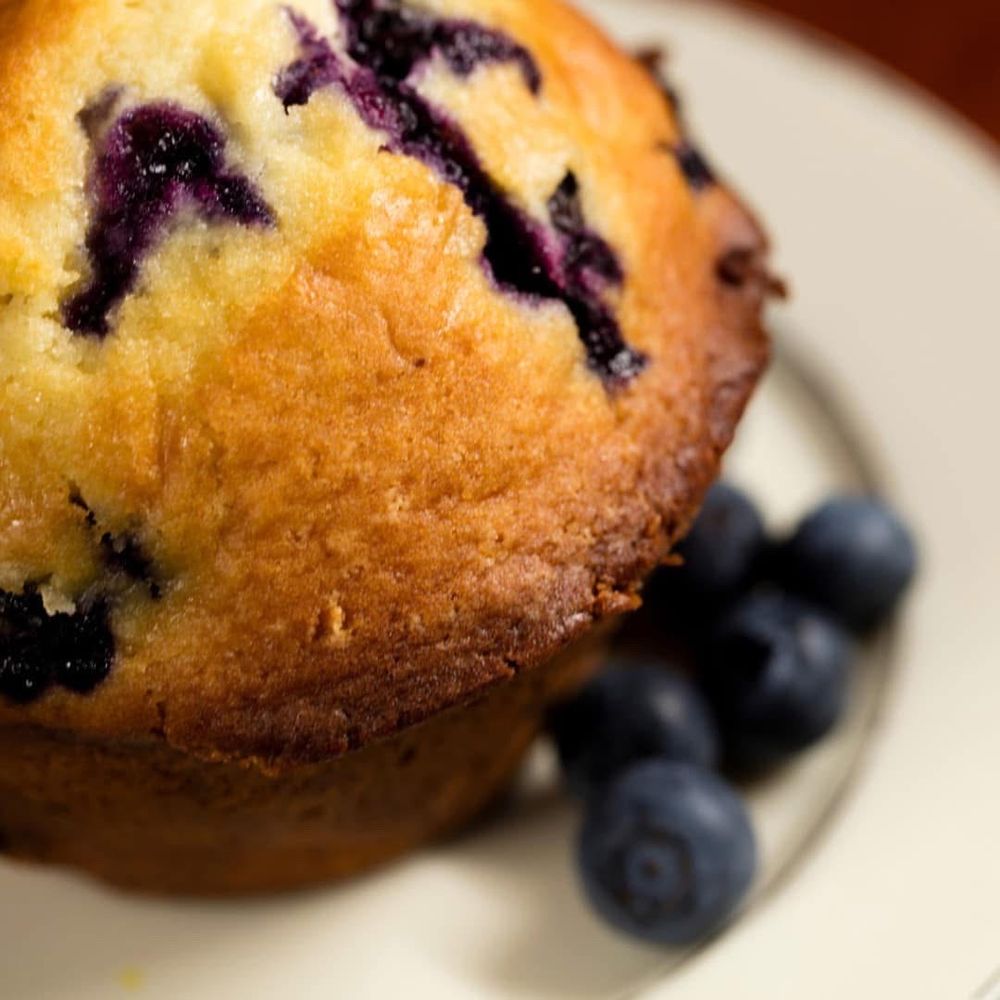 Good Karma Coffee Cafe Logo