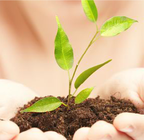 Redwood Therapy Group - grief counselor in West Jordan, UT