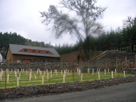 Reustle-Prayer Rock Vineyards by null