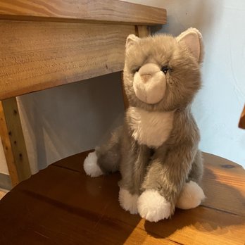 HI TEA X COFFEE TREE - Her kitty had to have a special spot of course! - Coffee & Tea Near Me - Edmond, Oklahoma HI TEA X COFFEE TREE - Her kitty had to have a special spot of course! - Coffee & Tea Near Me - Edmond, Oklahoma