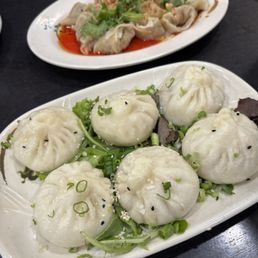 shanghai pan-fried soup dumplngs and chili oil wontons