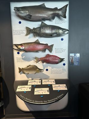 Alaska SeaLife Center by null