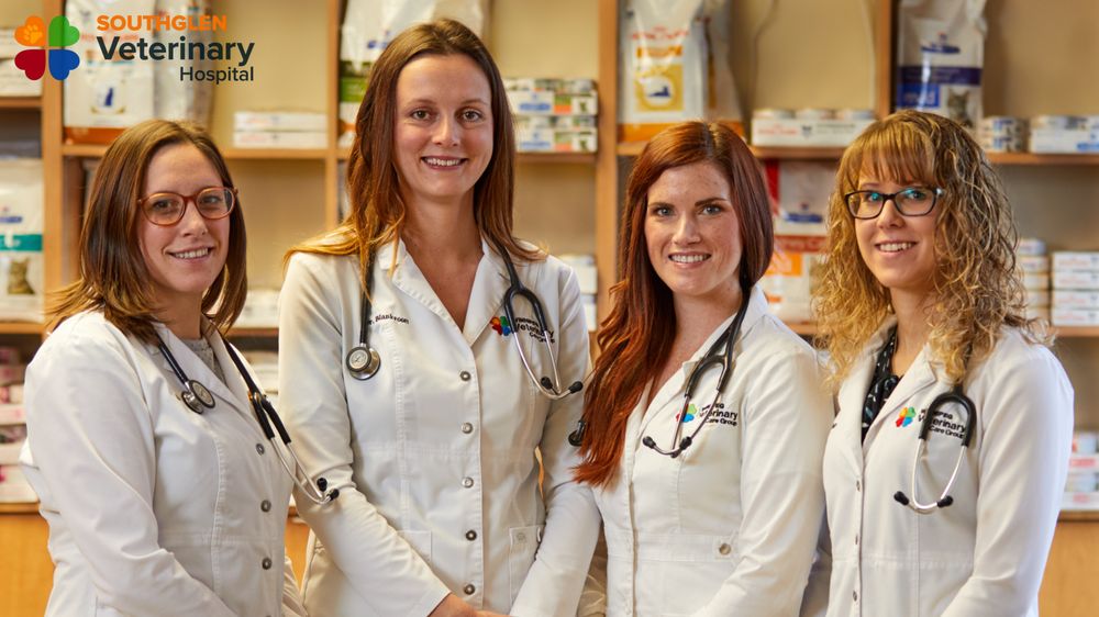SOUTHGLEN VETERINARY HOSPITAL Updated October 2024 11 Reviews V