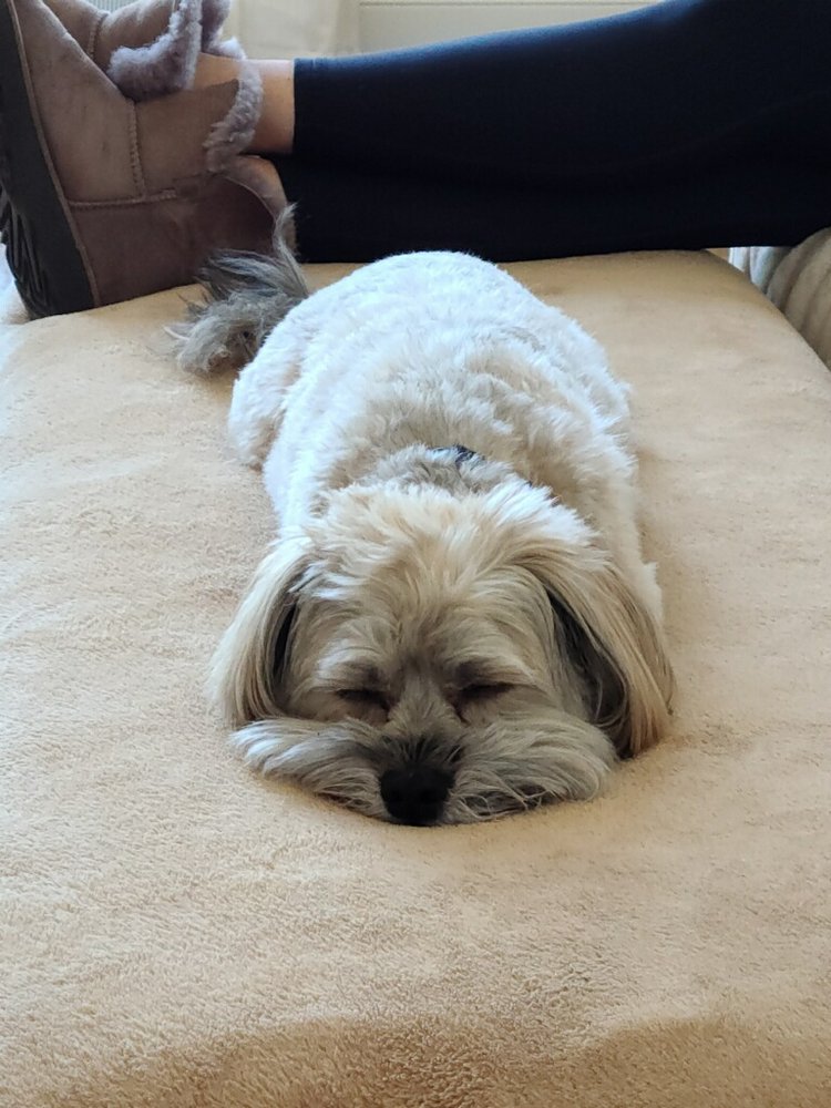 CAMDEN VETERINARY HOSPITAL Updated October 2024 2301 N Lyttleton