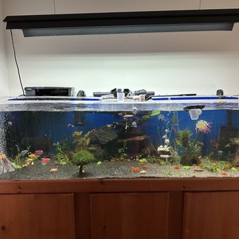 Petco - Pet Stores Near Me - Saugus, California Petco - Pet Stores Near Me - Saugus, California