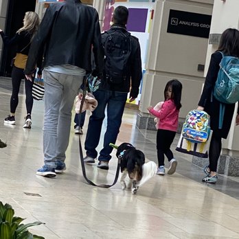 Prudential Center  - Even fur bebe's come for a stroll. - Shopping Centers Near Me - Boston, Massachusetts